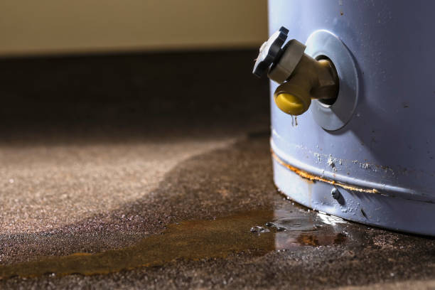 Best Professional water damage repair  in Central, SC