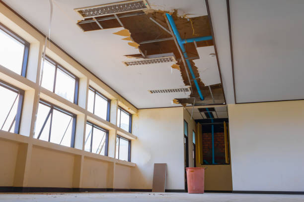 Best Flood damage cleanup  in Central, SC