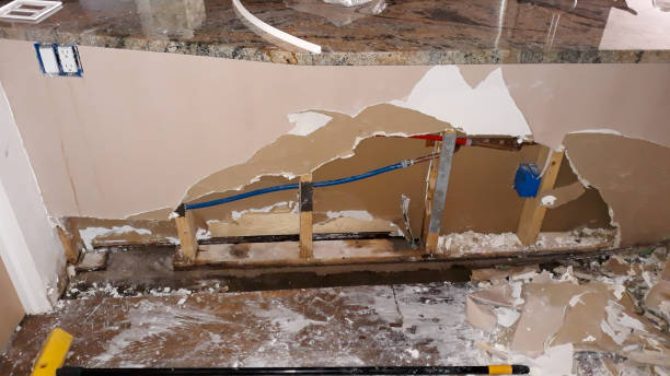 Best Ceiling water damage repair  in Central, SC