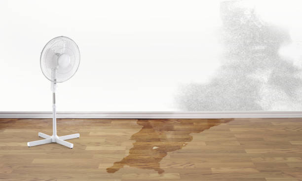 Water damage restoration mold remediation in SC