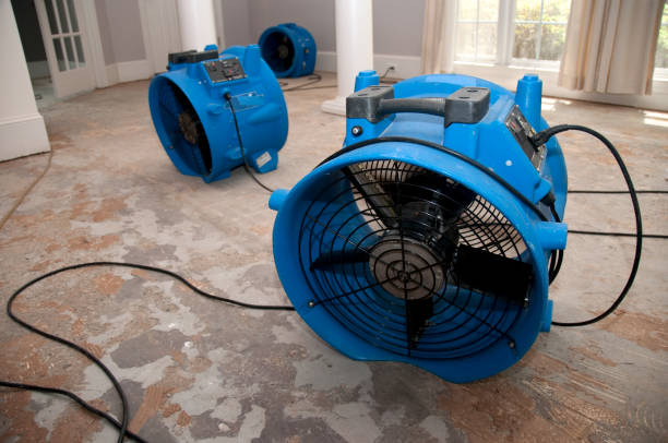 Best Residential water damage restoration  in Central, SC
