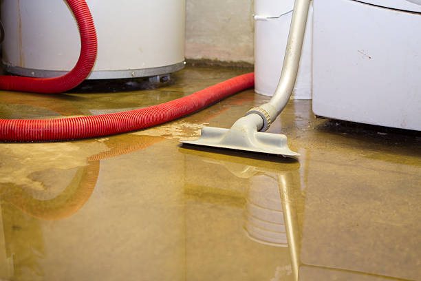 , SC Water damage restoration Company