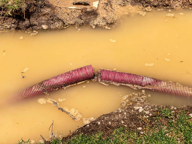  Central, SC Water damage restoration Pros