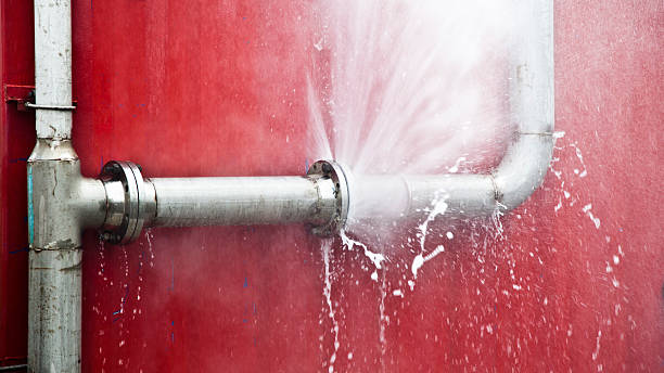 Best Mold removal after water damage  in Central, SC